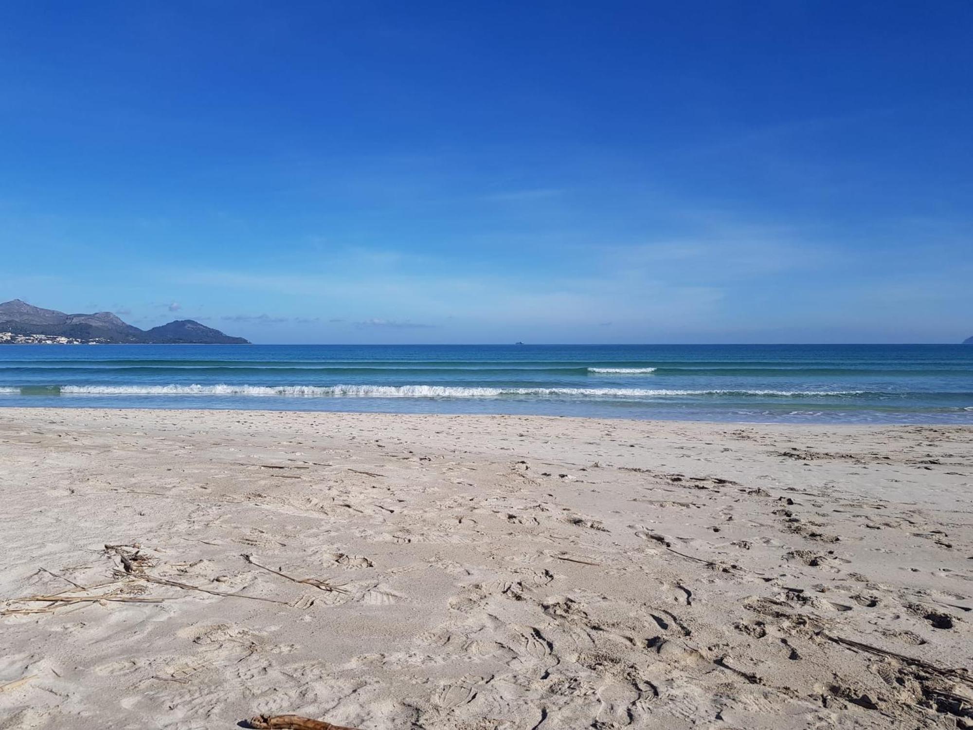 Ideal Mallorca - Playasol * Port de Alcudia (Mallorca)
